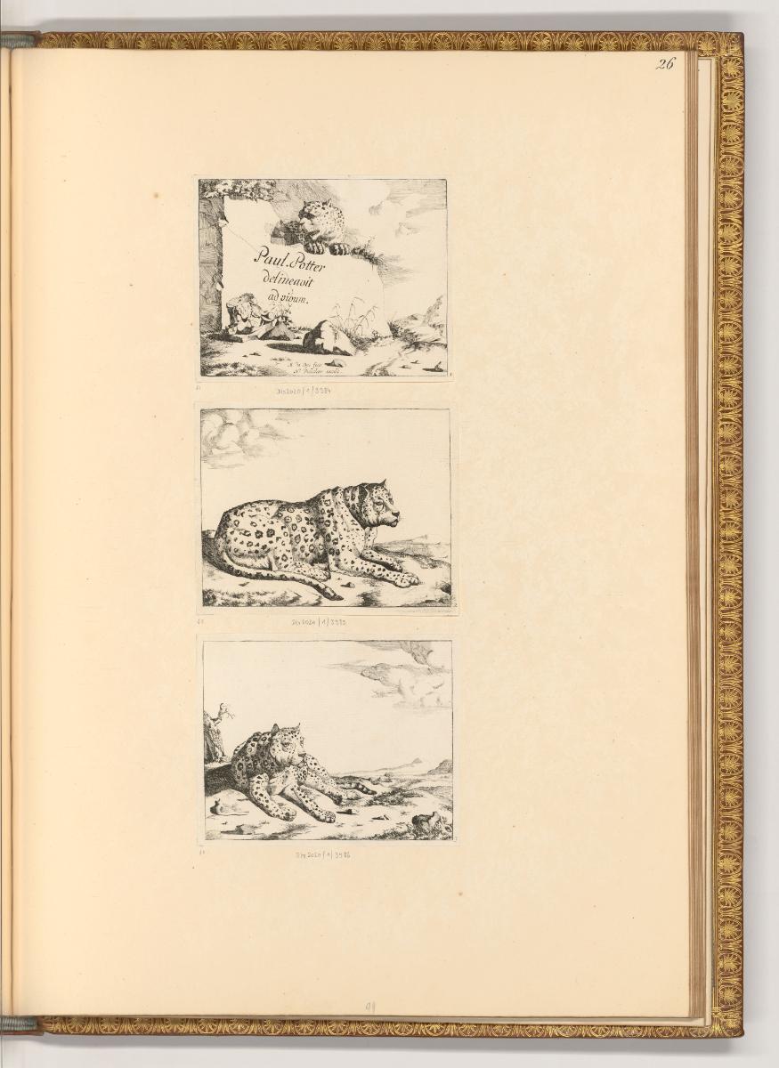 Paulus Potter; Marc de Bye, Titelblatt; Leopard, Inv. Nr.: Holland nach Sektionen III/39, H/III…