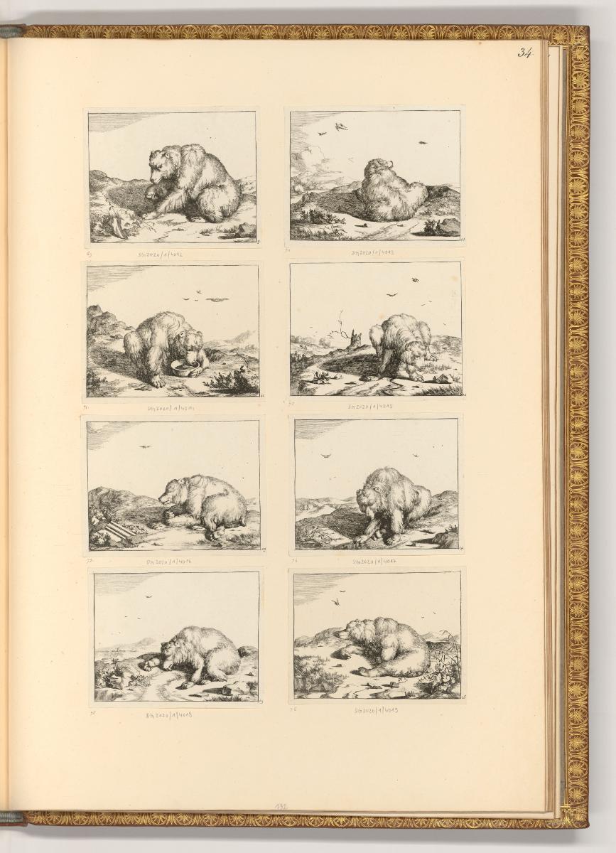 Paulus Potter; Marc de Bye, Diverse Bären, Inv. Nr.: Holland nach Sektionen III/39, H/III/39/34