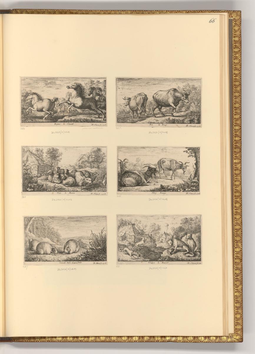 Albert Flamen, Tierdarstellungen: Pferde, Rinder, Schafe, Ziegen, Mäuse, Ziegen, Inv. Nr.: Holl…