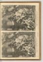 Gerard de Lairesse, Bacchus, Inv. Nr.: Holland nach Sektionen III/41, H/III/41/31