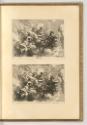 Gerard de Lairesse, Sommer, Inv. Nr.: Holland nach Sektionen III/41, H/III/41/33