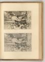 Gerard de Lairesse, Feldherr begnadigt Gefangene, Inv. Nr.: Holland nach Sektionen III/41, H/II…