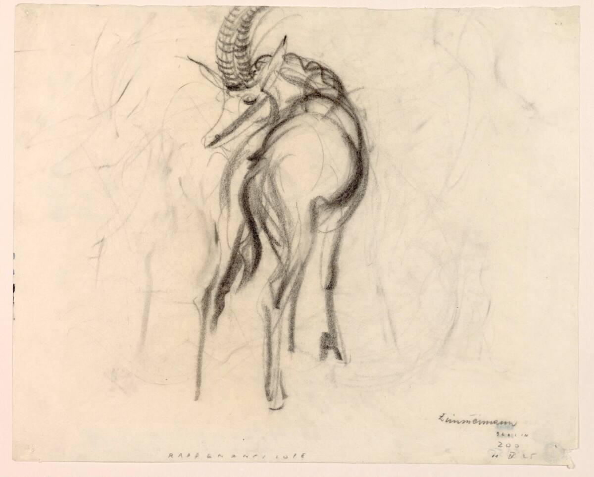 Eduard Zimmermann, Rappenantilope, Inv. Nr.: 35350