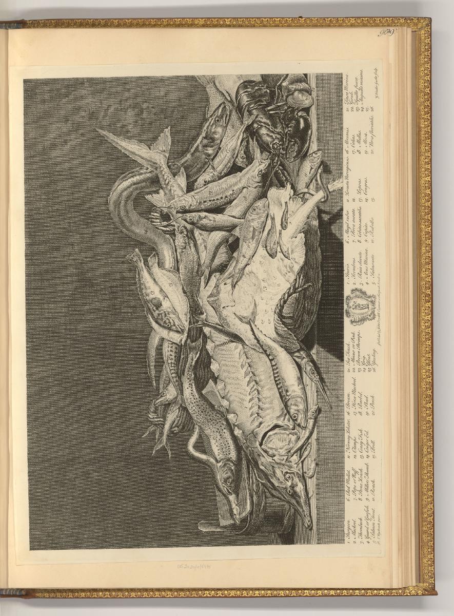 H. van Limborch; A. M. de Koker; I. Walraven; A. van der Laan; A. Zeeman; L. E. Dubourg; M. Elg…