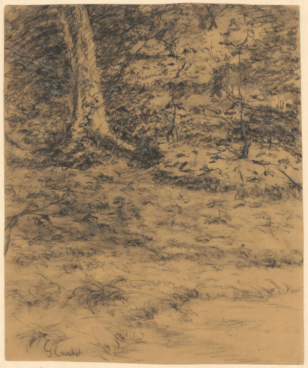 Gustave Courbet(?), Waldpartie mit Baumstamm, Inv. Nr.: 35584
