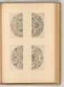 Französische Kupferstiche des 16. und 17. Jahrhunderts, Ornamente (Halbkreise), Inv. Nr.: Frank…
