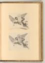 Kupferstiche von Claude Mellan, Engel mit Wappenschild und zwei Posaunen, Inv. Nr.: Frankreich …