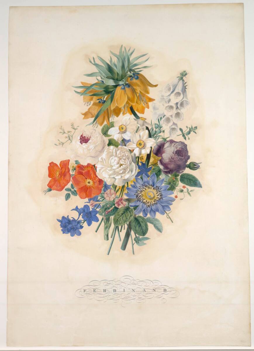 Ferdinand (Blumenstück), Josef August Satory