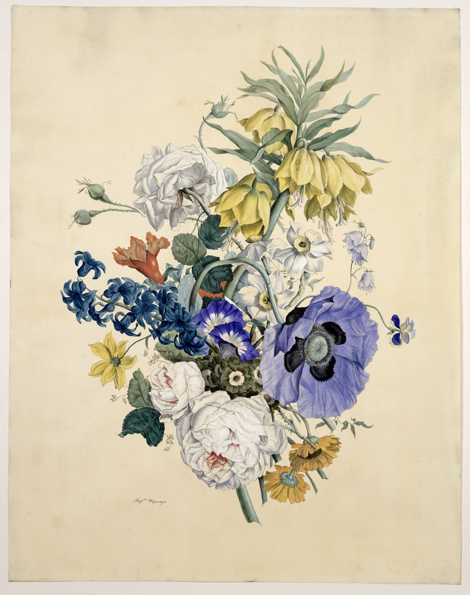 Rosen, Türkenbund, blauer Mohn, Sebastian Wegmayr