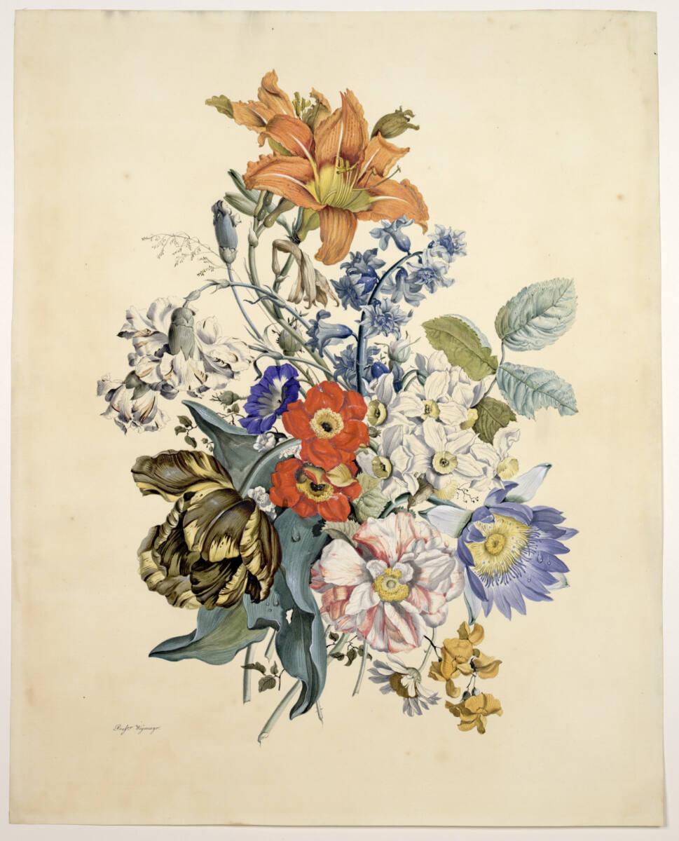 Sebastian Wegmayr, Feuerlilie, Tulpen, Narzissen, Inv. Nr.: 36072/13