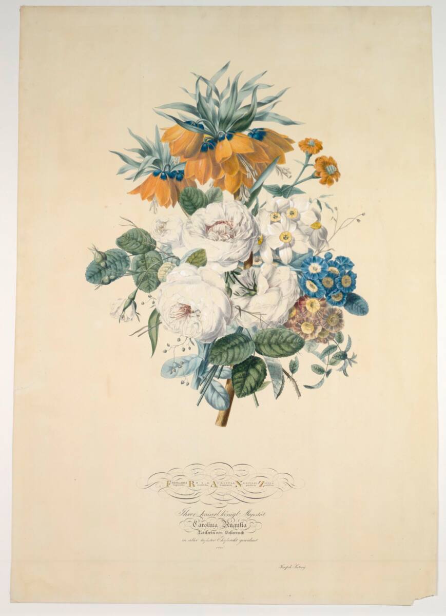 Franz (Blumenstück), Josef August Satory