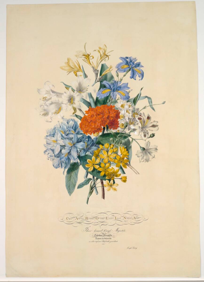 Carolina (Blumenstück), Josef August Satory