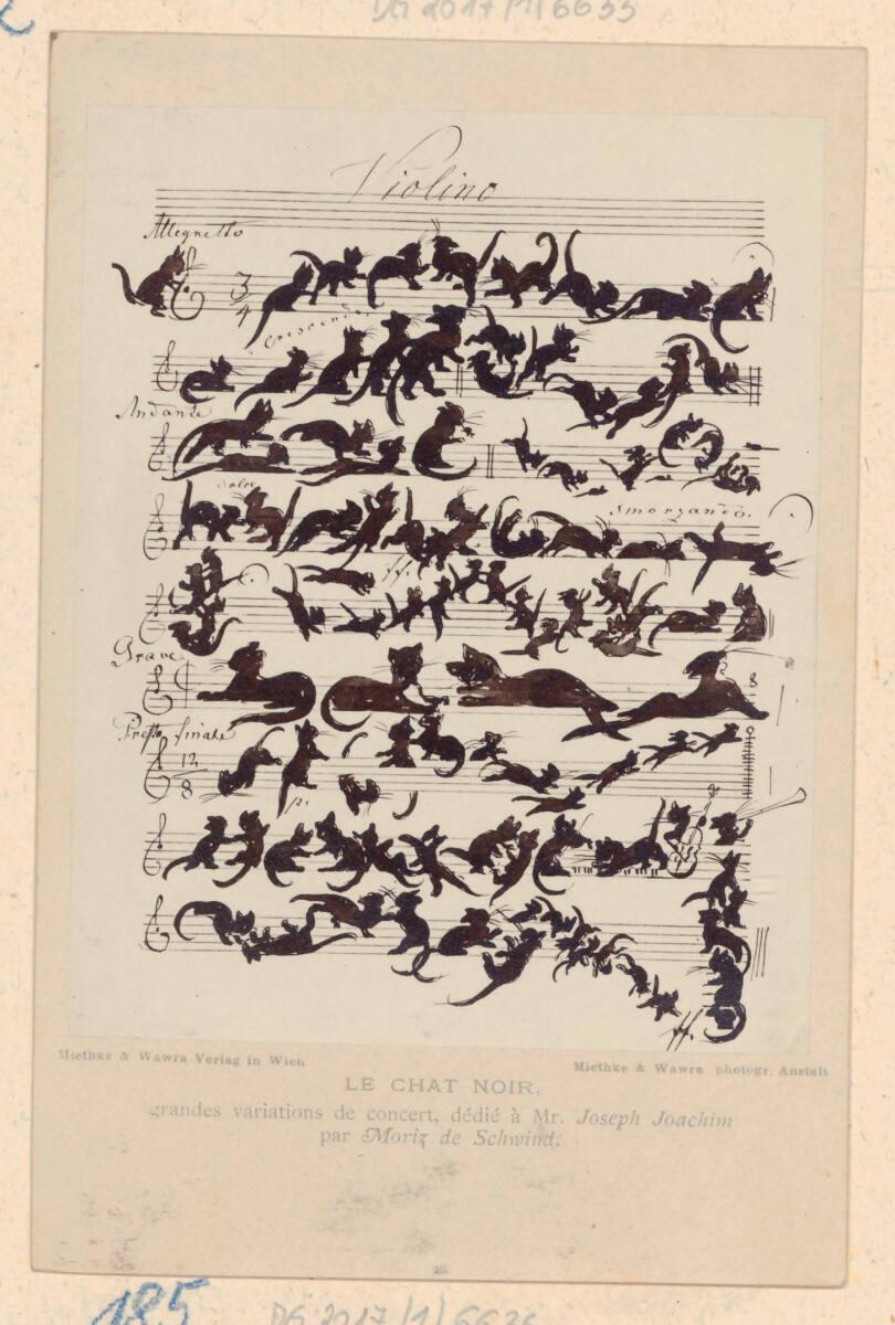 Die schwarze Katze (Katzensymphonie) - Le chat noir, Inv. Nr.: DG2017/1/6636