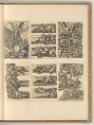 Radierungen von Jean Le Pautre, Kriegstrophäen (Ornamentstich), Inv. Nr.: Frankreich nach Sekti…