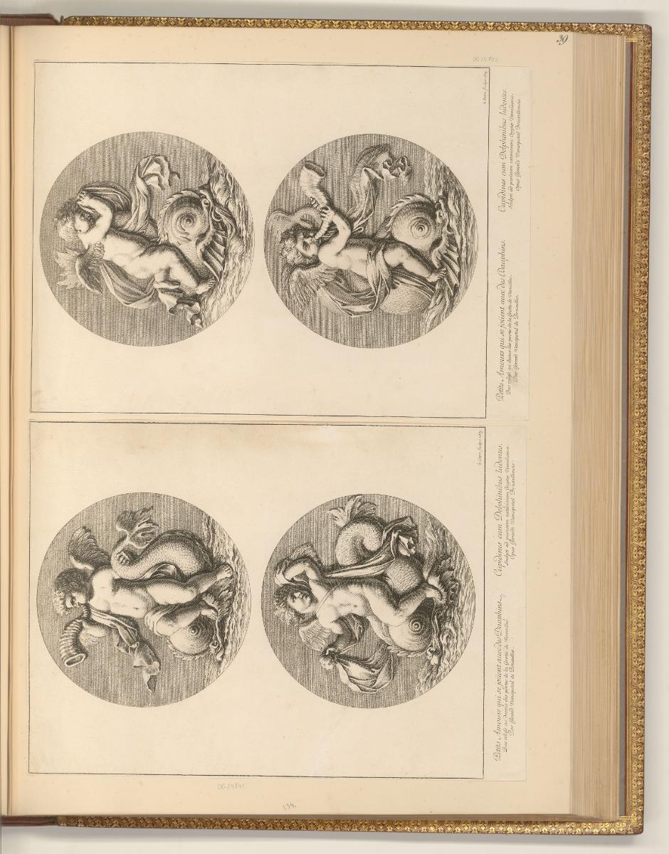 Radierungen von Jean Le Pautre, Amoretten auf Delphinen (Rundbilder), Inv. Nr.: Frankreich nach…