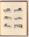 Druckgrafiken von Bernard Picart, Liegende Löwen, Inv. Nr.: Frankreich nach Sektionen I/36, F/I…