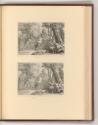 Druckgrafiken von Bernard Picart, Pan und Sirinx, Inv. Nr.: Frankreich nach Sektionen I/36, F/I…