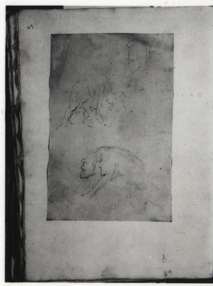 Stefano della Bella, Tierskizzen, Inv. Nr.: 36592/29