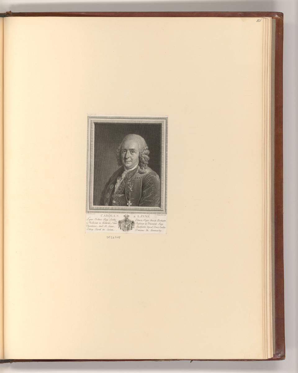 Französische Druckgrafiken des 18. und 19. Jahrhunderts, Porträt Charles de Linné, Inv. Nr.: Fr…