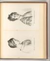 Französische Druckgrafiken des 19. Jahrhunderts, Jeune Napolitaine, Inv. Nr.: Frankreich nach S…