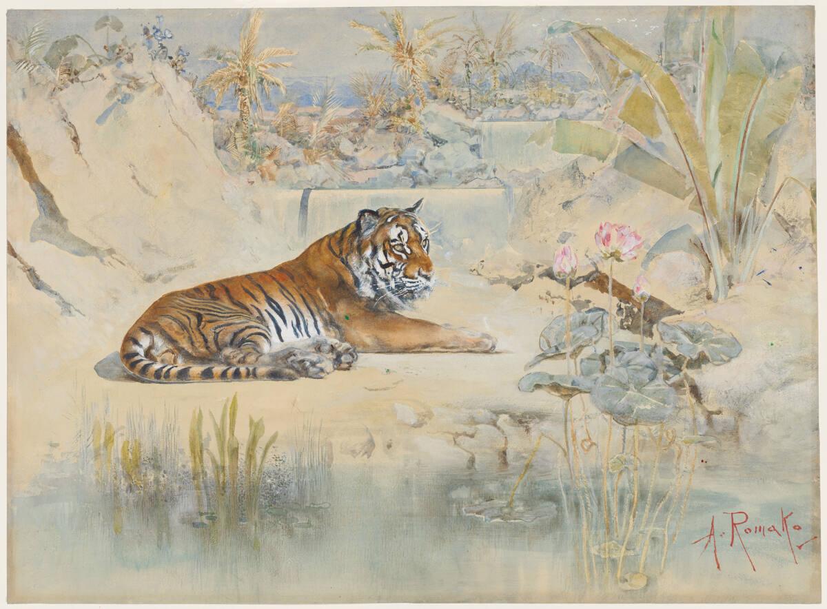 Anton Romako, Tiger, Inv. Nr.: 37665