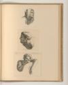 Druckgrafiken von Jean Pesne nach Nicolas Poussin, Kopfstudien, Inv. Nr.: Frankreich nach Sekti…
