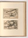 Druckgrafiken nach Louis le Nain und Werken der Familie Stella, Hll. Kosmas und Damian; Hl. Tho…