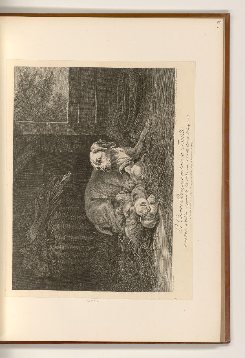 Französische Druckgrafiken des 18. Jahrhunderts, La Chienne Braque avec toute sa Famille, Inv. …