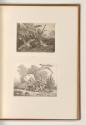Französische Druckgrafiken des 18. Jahrhunderts, Raubvogel und Enten; Jagdhund und Fasane, Inv.…