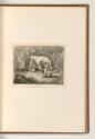 Französische Druckgrafiken des 18. Jahrhunderts, Phylax, Inv. Nr.: Frankreich nach Sektionen II…