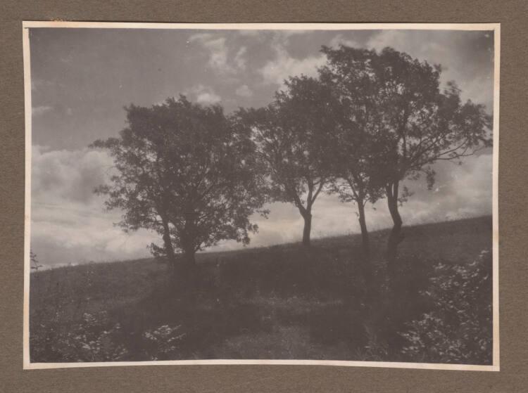 Kurt Husnik, Ohne Titel (Sommer), Inv. Nr.: Foto2004/26/3/82