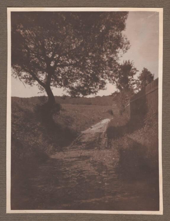 Kurt Husnik, Ohne Titel (Sommer), Inv. Nr.: Foto2004/26/3/84