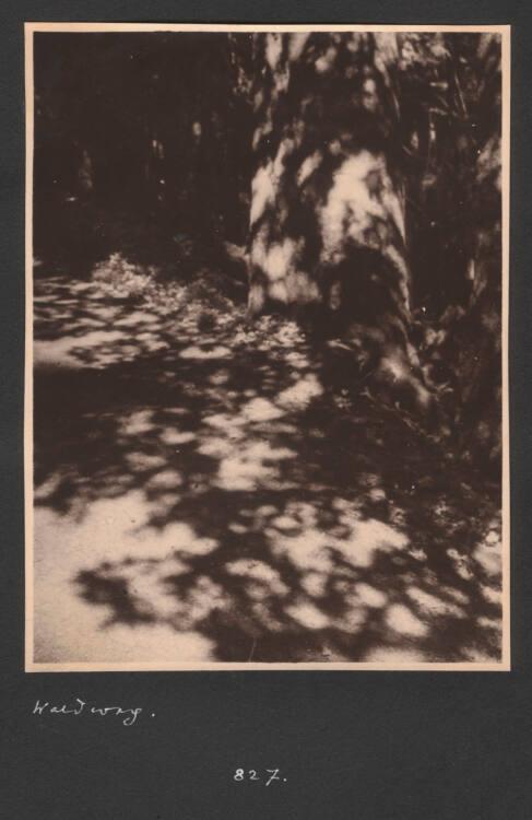 Kurt Husnik, Nr. 827, Inv. Nr.: Foto2004/26/9/22
