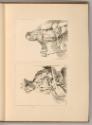 Radierungen nach Jean-Antoine Watteau, Mann mit Pelzmütze; Porträt Pierre-Maurice Haranger, Inv…