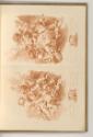 Druckgrafiken nach François Boucher, Amoretten, Inv. Nr.: Frankreich nach Sektionen II/40, F/II…