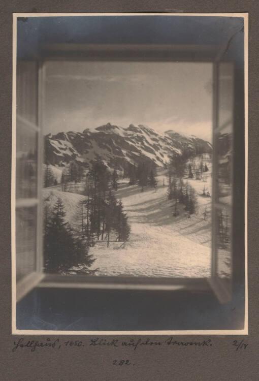 Kurt Husnik, Nr. 282, Inv. Nr.: Foto2004/26/4/7