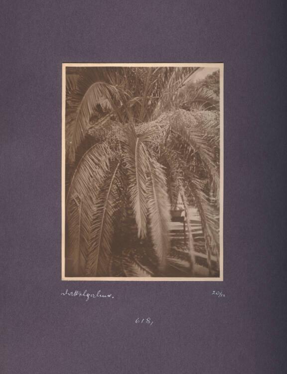 Kurt Husnik, Nr. 618, Inv. Nr.: Foto2004/26/6/117