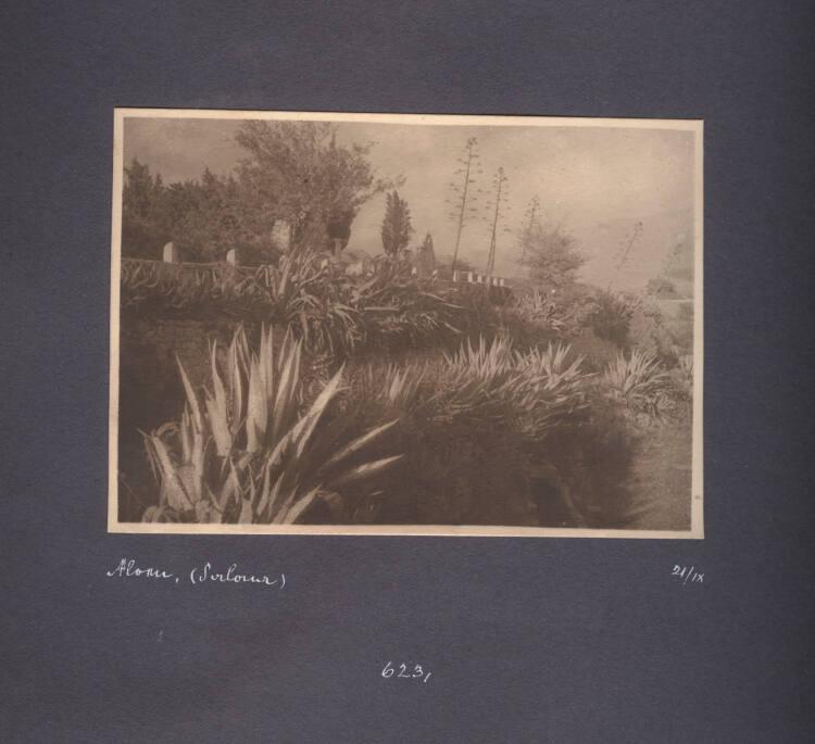Kurt Husnik, Nr. 623, Inv. Nr.: Foto2004/26/6/121