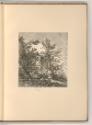 Druckgrafiken nach François Boucher, Abreuvoir d'oiseaux, Inv. Nr.: Frankreich nach Sektionen I…