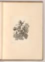 Druckgrafiken nach François Boucher, Putten und Kinder, Inv. Nr.: Frankreich nach Sektionen II/…