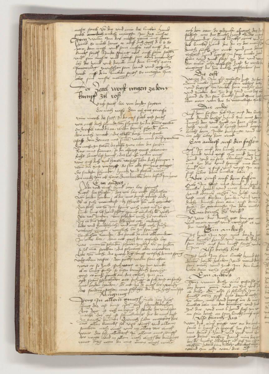 Albrecht Dürer, Das Ring- und Fechtbuch, Inv. Nr.: 26232/100v