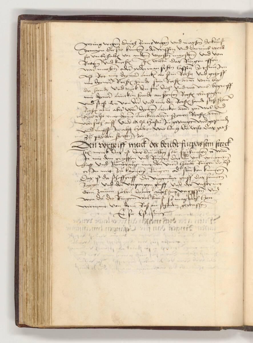 Das Ring- und Fechtbuch, Albrecht Dürer, 1512