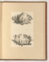 Druckgrafiken nach Jean Pillement, Chinoiserie mit spielenden Kindern, Inv. Nr.: Frankreich nac…