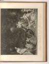Französische Druckgrafiken des 18. und 19. Jahrhunderts, La jouissance maternelle, Inv. Nr.: Fr…