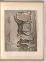 Druckgrafiken nach Charles Vernet, Le Marchand de Chevaux, Inv. Nr.: Frankreich nach Sektionen …