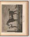 Druckgrafiken nach Charles Vernet, Cheval Anglais, Inv. Nr.: Frankreich nach Sektionen II/67, F…