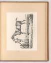 Druckgrafiken nach Charles Vernet, Cheval Anglais au moment de la Course, Inv. Nr.: Frankreich …