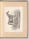 Druckgrafiken nach Charles Vernet, Cheval Arabe, Inv. Nr.: Frankreich nach Sektionen II/67, F/I…