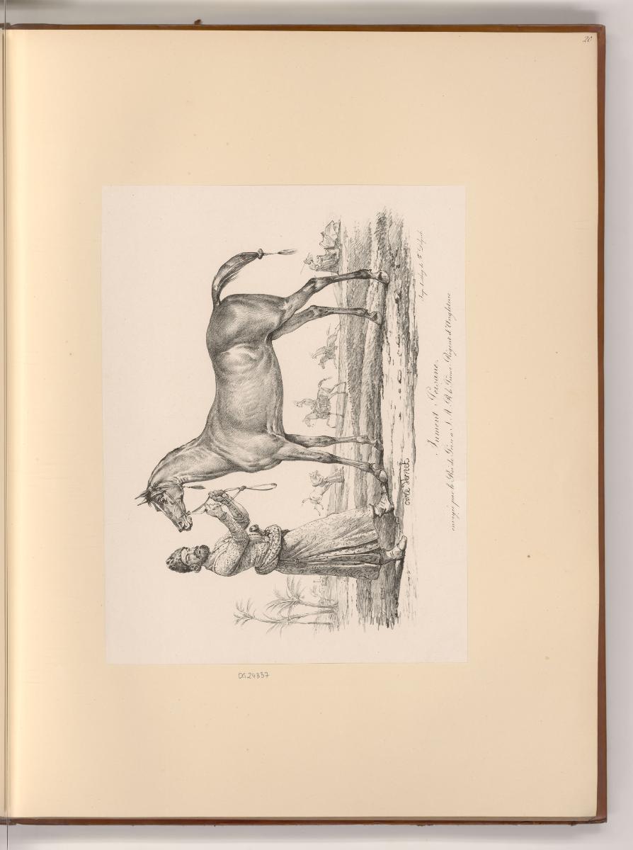 Druckgrafiken nach Charles Vernet, Jument persane, Inv. Nr.: Frankreich nach Sektionen II/67, F…