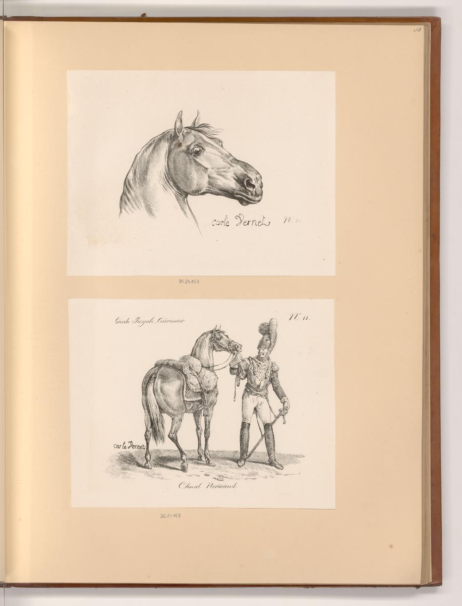 Druckgrafiken nach Charles Vernet, Pferdekopf; Königliche Garde, Kürassier mit Pferd, Inv. Nr.:…